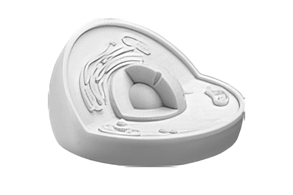 ballbet贝博(中国)艾弗森官方网站